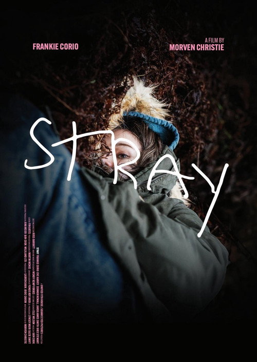 Постер фильма «Stray»