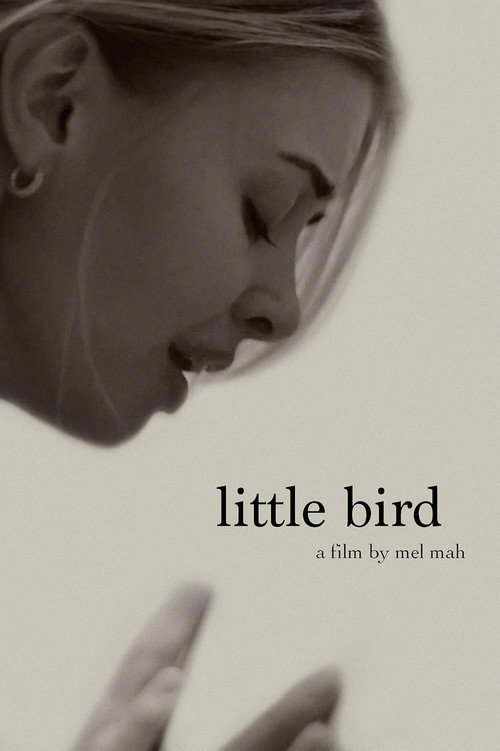 Постер фильма «Little Bird»