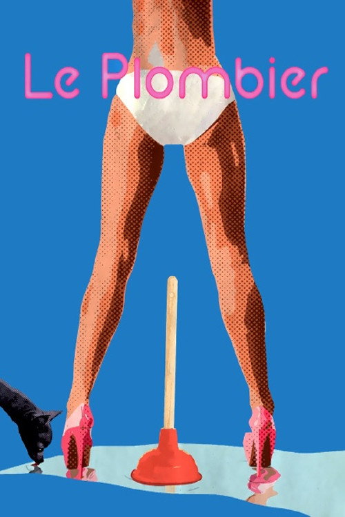 Постер фильма «Le Plombier»