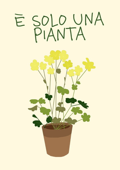 Постер фильма «È solo una pianta»