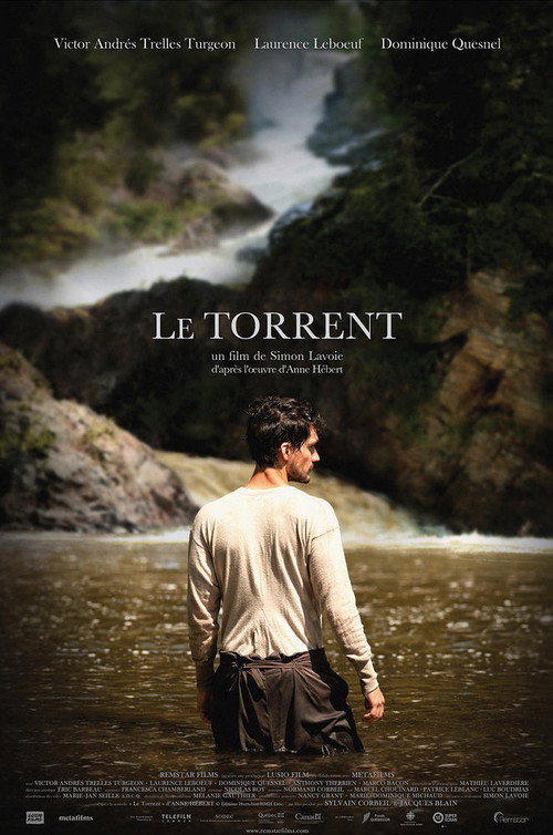 Постер фильма «Le Torrent»