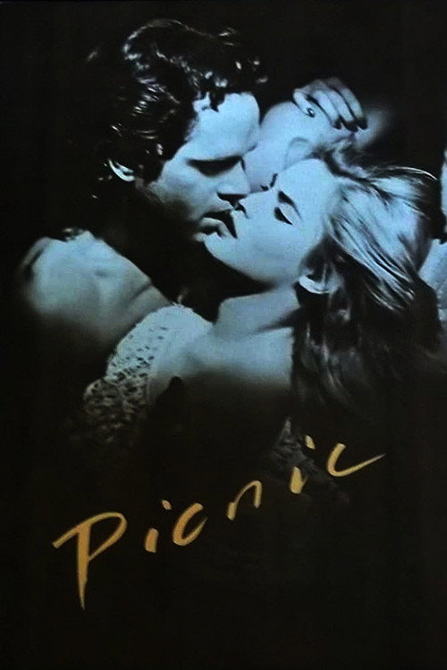 Постер фильма «Picnic»