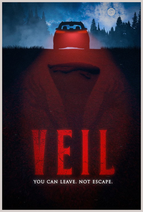 Постер фильма «VEIL»