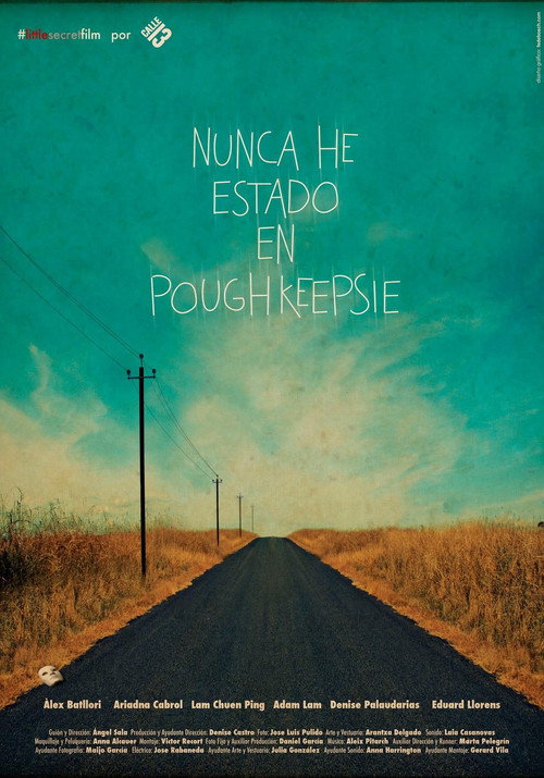 Постер фильма «Nunca he estado en Poughkeepsie»