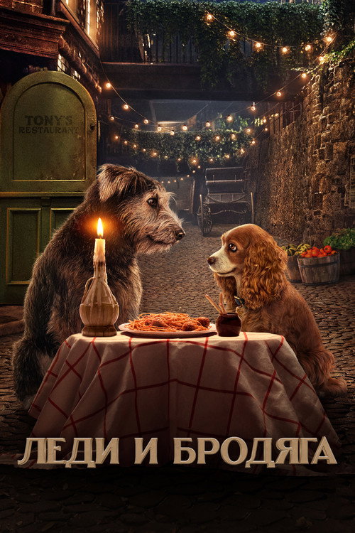 Постер фильма «Леди и Бродяга»