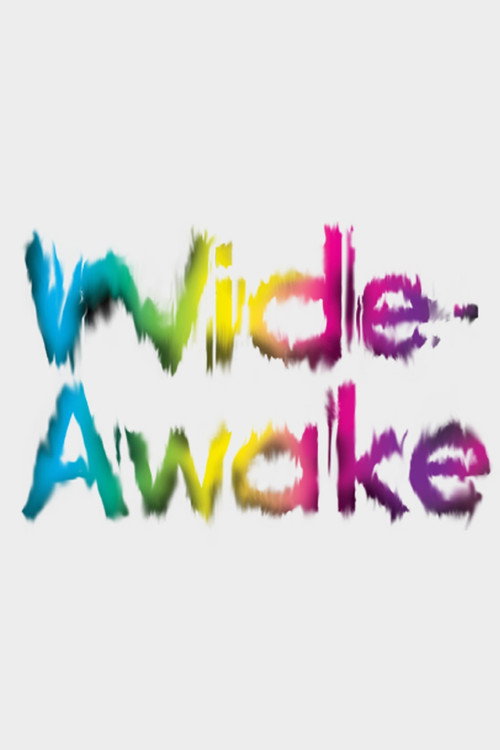 Постер фильма «Wide-Awake»