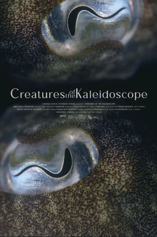 Постер фильма «Creatures of the Kaleidoscope»