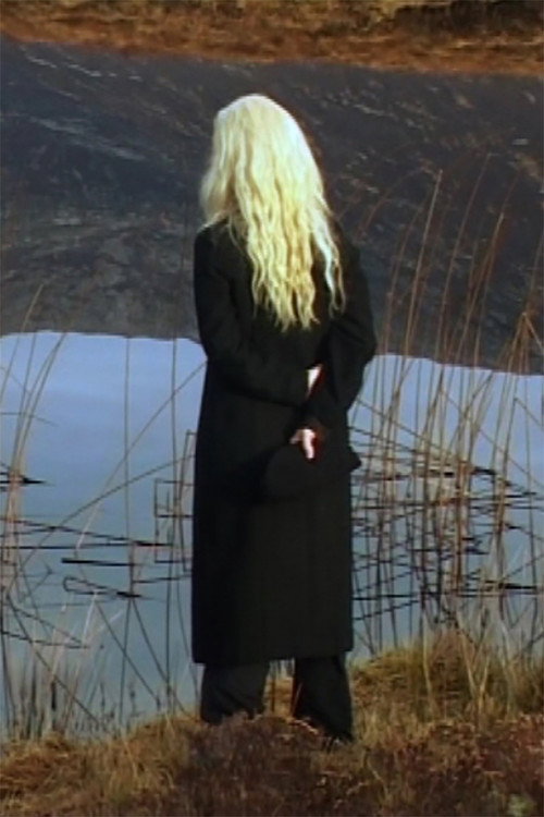 Постер фильма «The Irreducible Difference of the Other»