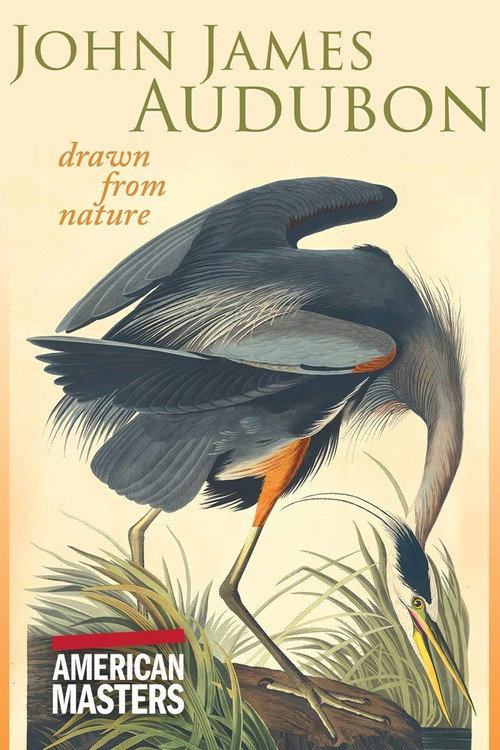 Постер фильма «John James Audubon: Drawn from Nature»