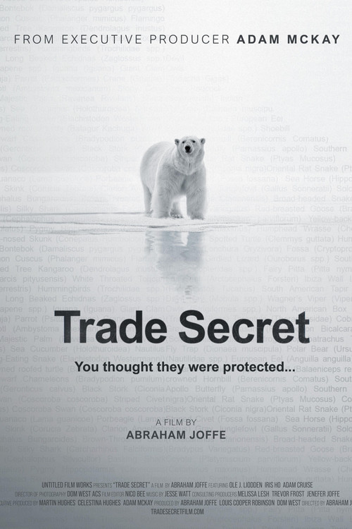 Постер фильма «Trade Secret»
