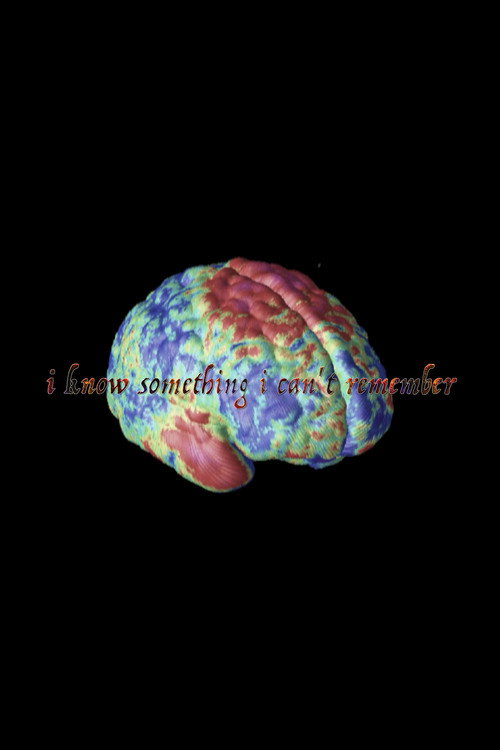 Постер фильма «I Know Something I Can't Remember»