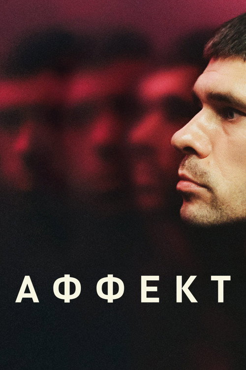 Постер фильма «Аффект»