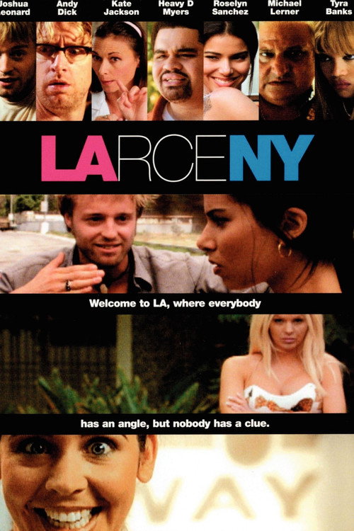 Постер фильма «LArceny»