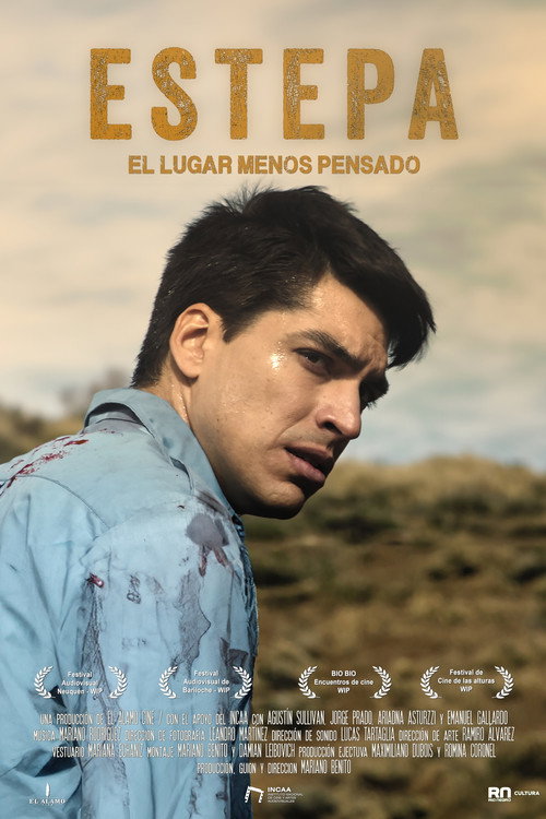 Постер фильма «Estepa»