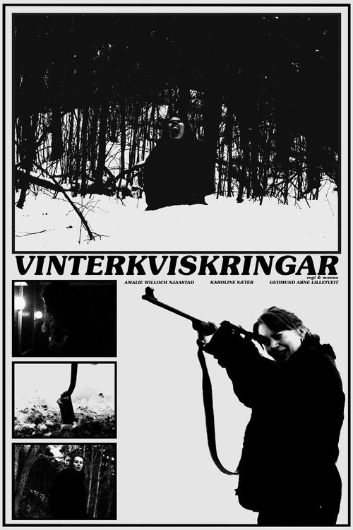 Постер фильма «Vinterkviskringar»