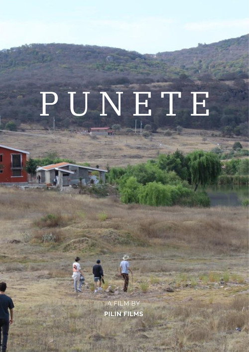 Постер фильма «"PUNETE"»