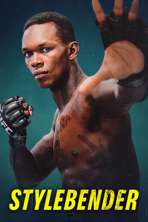 Постер фильма «Stylebender»