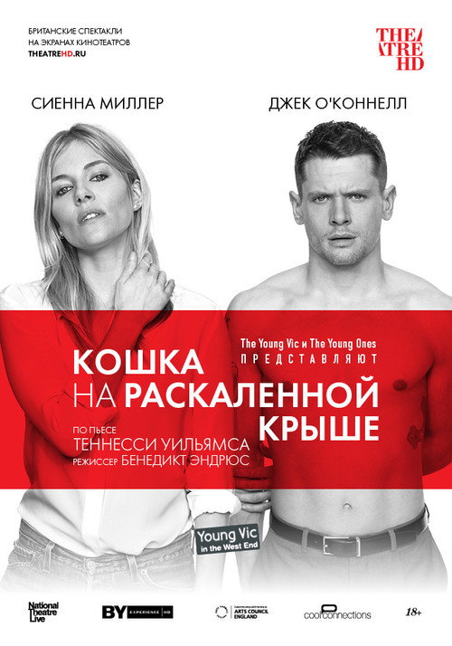 Постер фильма «Кошка на раскалённой крыше»