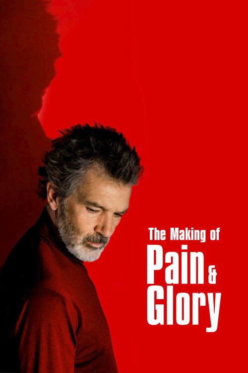Постер фильма «The Making of Pain and Glory»