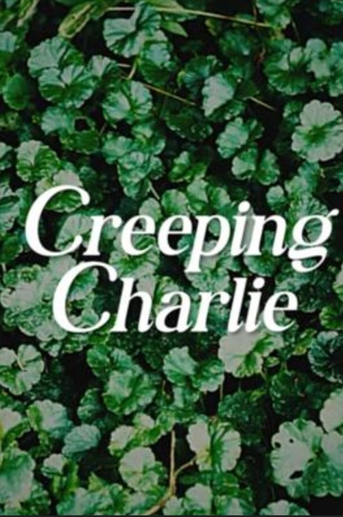 Постер фильма «Creeping Charlie»