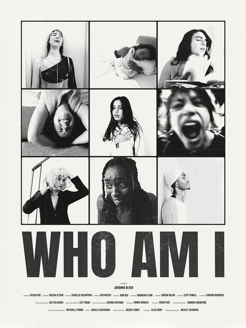 Постер фильма «Who Am I?»