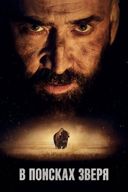 Постер фильма «В поисках зверя»