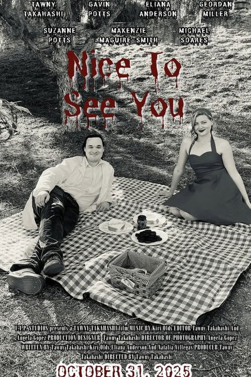 Постер фильма «Nice to See You»