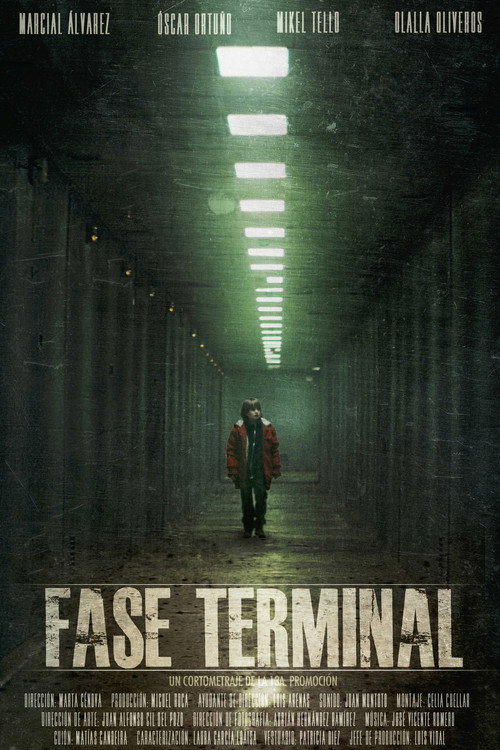 Постер фильма «Fase terminal»