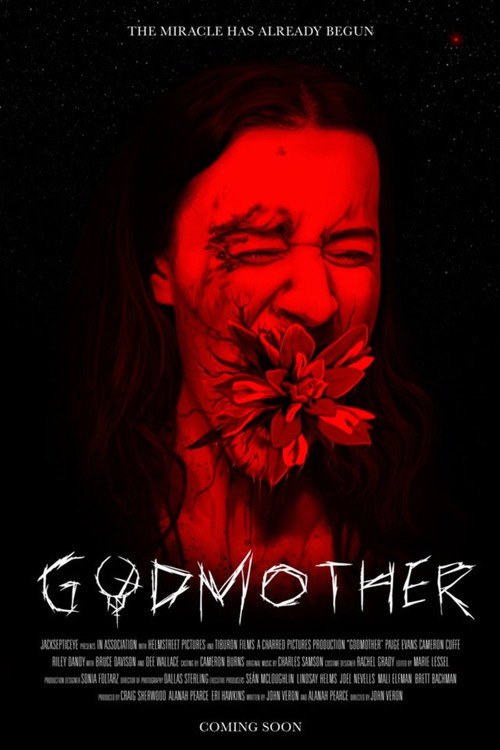Постер фильма «Godmother»