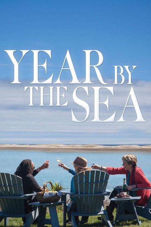 Постер фильма «Year by the Sea»