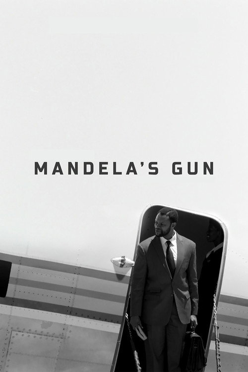 Постер фильма «Mandela's Gun»
