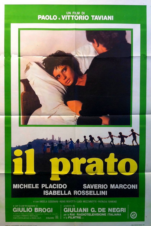 Постер фильма «Il prato»