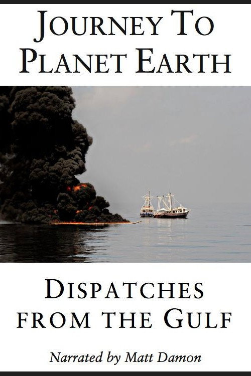Постер фильма «Dispatches from the Gulf»