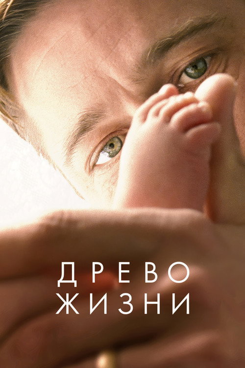 Постер фильма «Древо жизни»