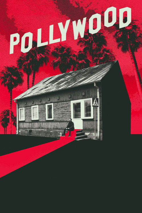 Постер фильма «Pollywood»