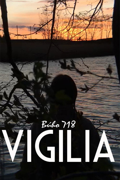 Постер фильма «Vigilia»