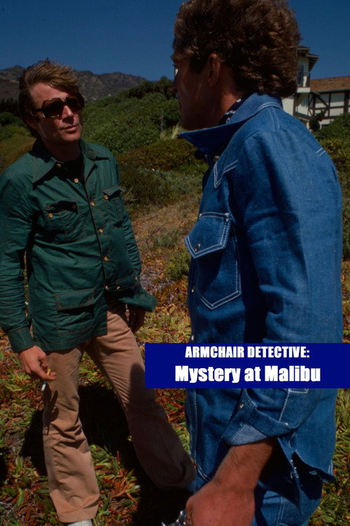 Постер фильма «Armchair Detective: Mystery at Malibu»