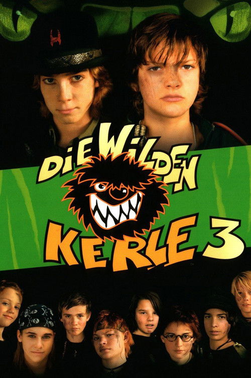 Постер фильма «Die Wilden Kerle 3»