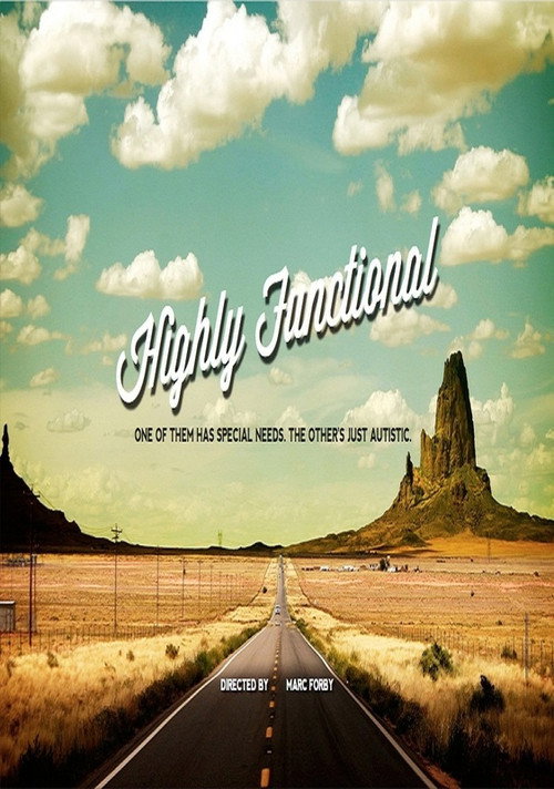 Постер фильма «Highly Functional»