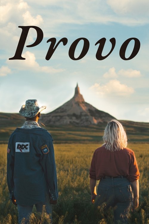 Постер фильма «Provo»