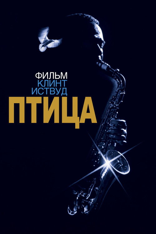 Постер фильма «Птица»