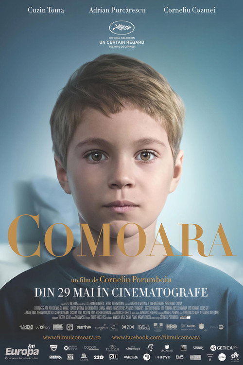 Постер фильма «Сокровище»