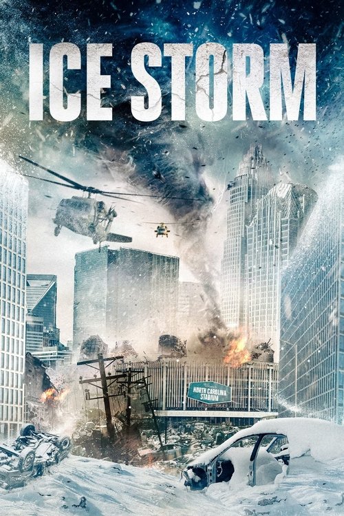 Постер фильма «Ice Storm»