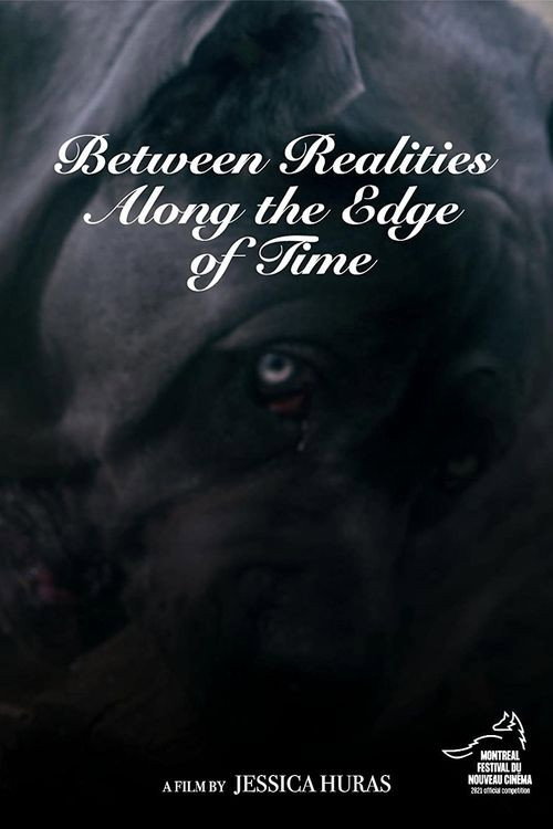 Постер фильма «Between Realities Along the Edge of Time»