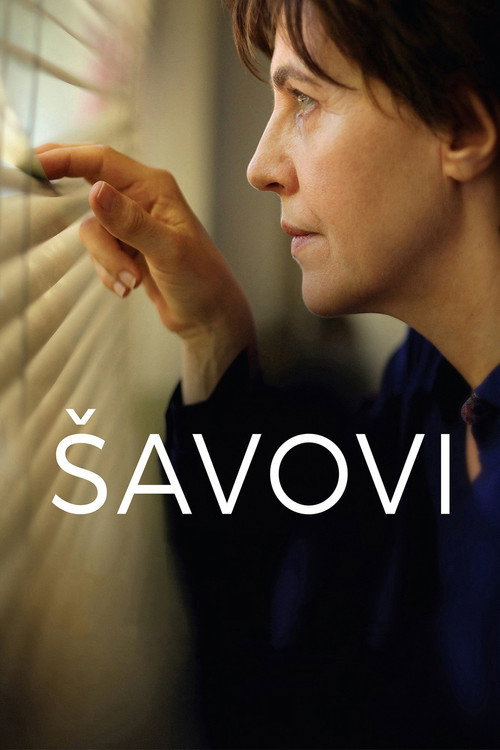 Постер фильма «Šavovi»