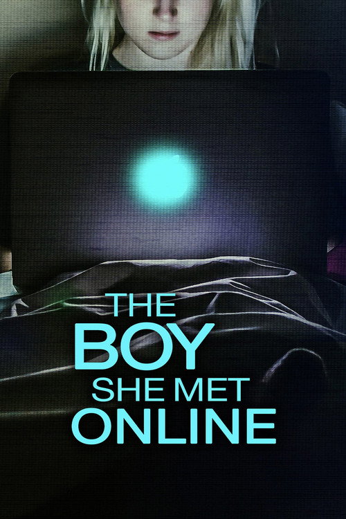 Постер фильма «The Boy She Met Online»