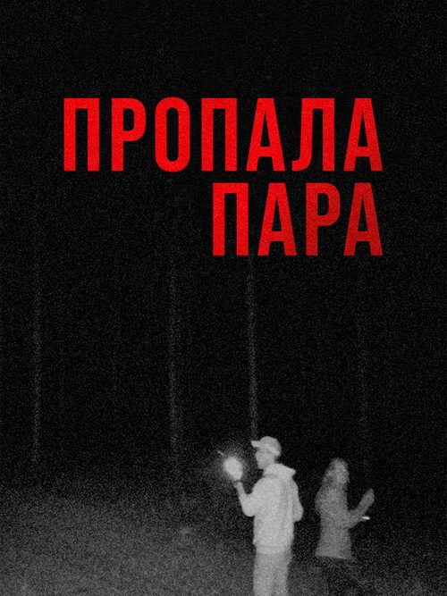 Постер фильма «Пропала пара»