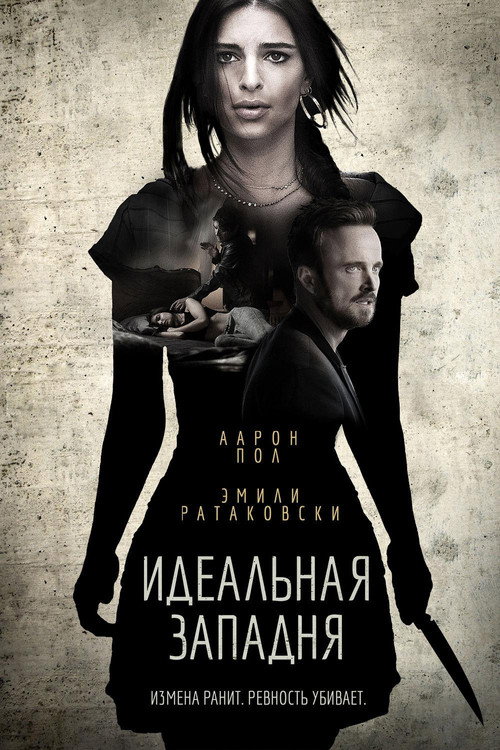 Постер фильма «Идеальная западня»