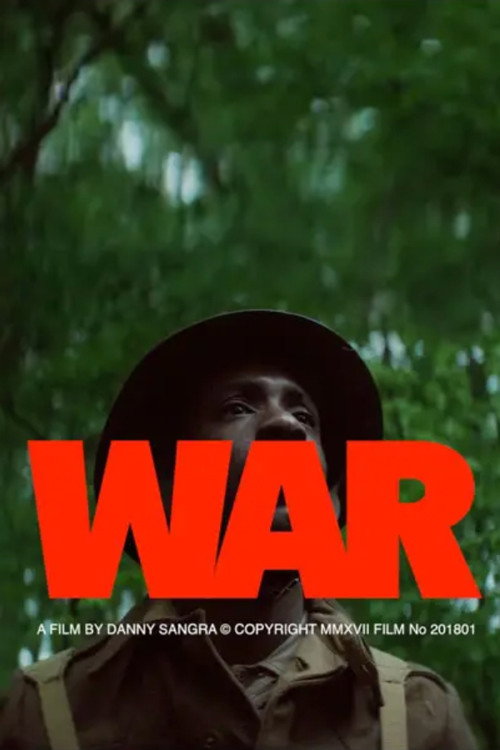 Постер фильма «War»