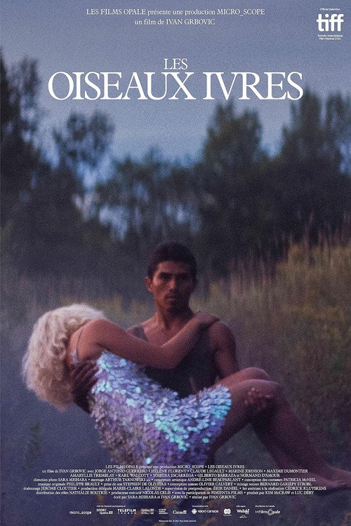 Постер фильма «Les oiseaux ivres»